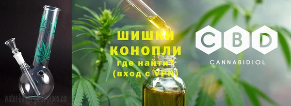 гашик Дмитровск
