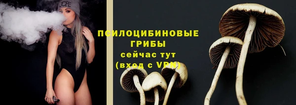кокаин Дмитриев