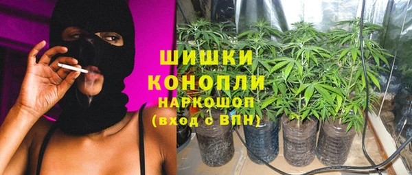 гашик Дмитровск