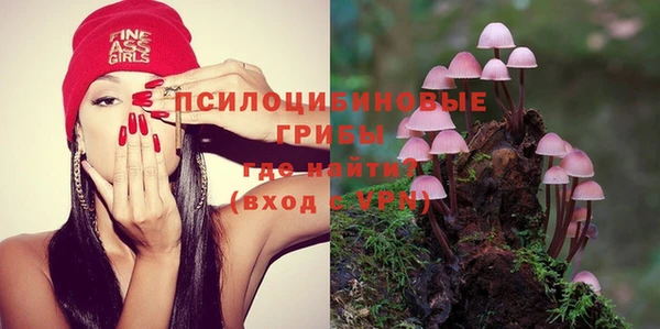 гашик Дмитровск