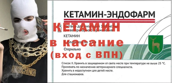 гашик Дмитровск